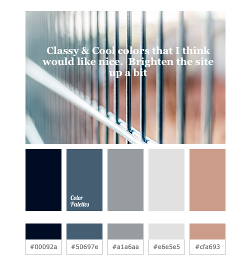 Color Palette - Silver Lake Productions Consulting
